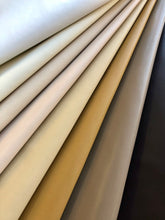 画像をギャラリービューアに読み込む, パブロ